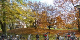 Fahrräder vor Herbstbäumen am Campus Nord