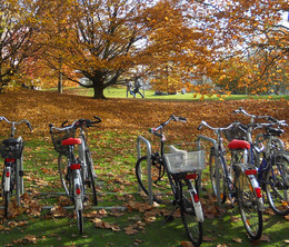 Fahrräder vor Herbstbäumen am Campus Nord