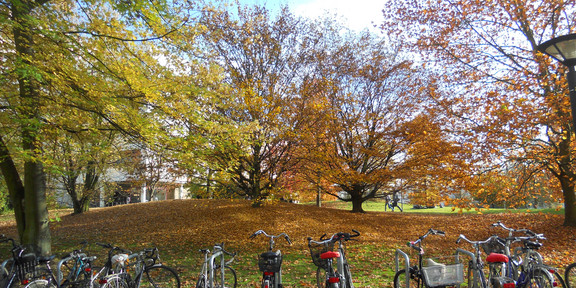 Fahrräder am Campus Nord Fahrräder vor Herbstbäumen am Campus Nord