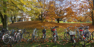 Fahrräder vor Herbstbäumen am Campus Nord