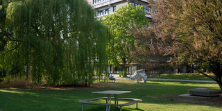 Eine Wiese und viele Bäume vor einem TU-Gebäude