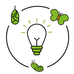 Graphic. A light bulb is shown as an icon in the center. A cycle is shown around the light bulb. At the bottom of the cycle is a caterpillar, at the top left a cocoon and at the top right a butterfly.