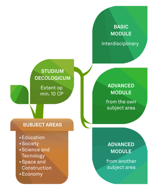 The structure of the studium oecologicum depicted as a potted plant. The five subject areas are on the pot and a plant with four leaves grows from it. The leaves show the overall scope and the different module areas.