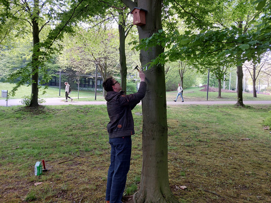 Ein Mann bringt ein kleines Schild an einem Baum an.