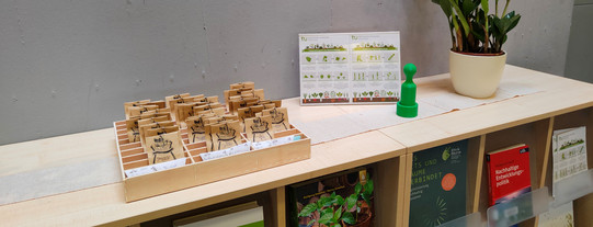 shelf with books, a plant and a box containing seeds in small bags