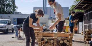 Eine Frau und ein Mann bauen aus Holzpaletten ein Insektenhotels.