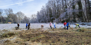 Mehrere Menschen graben im Winter auf einem Feld.