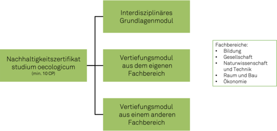 Abbildung der Struktur des Zertifikats Nachhaltigkeit bzw. studium oecologicum