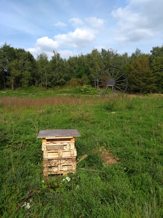 Ein Insektenhotel im Biotop hinter dem Kindergarten