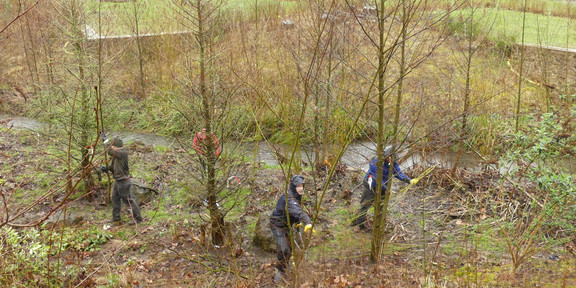 In einer Wiese entfernen Menschen Bäume und Sträucher