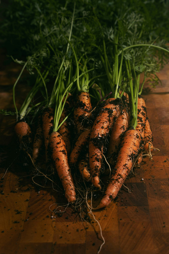 Freshly harvested carrots with soil on a wooden table.