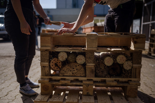 Zwei Studierende bauen ein großes Insektenhotel.