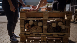 Zwei Studierende bauen ein großes Insektenhotel.