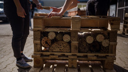 Two students build a large insect hotel.