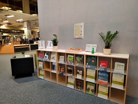 Regal mit Büchern, Pflanze und einer Kiste die Saatgut in kleinen Tüten enthält.