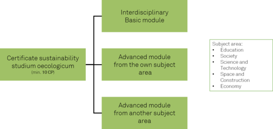 Struktur des studium oecologicums