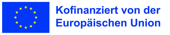 Logo "Co-funded by the European Union"