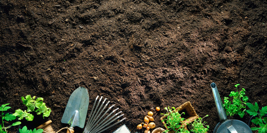 Gartenwerkzeug und Pflanzen liegen am Rande eines Beets