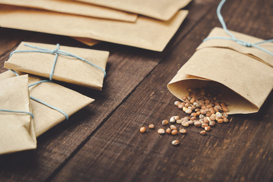 Seeds that fall out of seed packets 