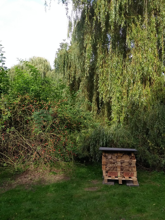 Ein Insektenhotel in der Nähe des EF50