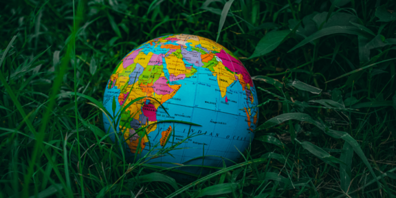 Globe, lying in the grass
