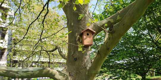 Ein Vogelhaus.