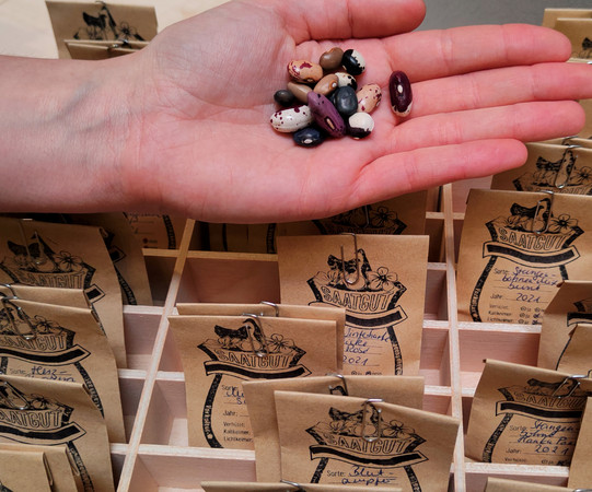 Saatguttauschbox Holzkiste mit Saatguttüten. Eine Hand hält buntes Saatgut.