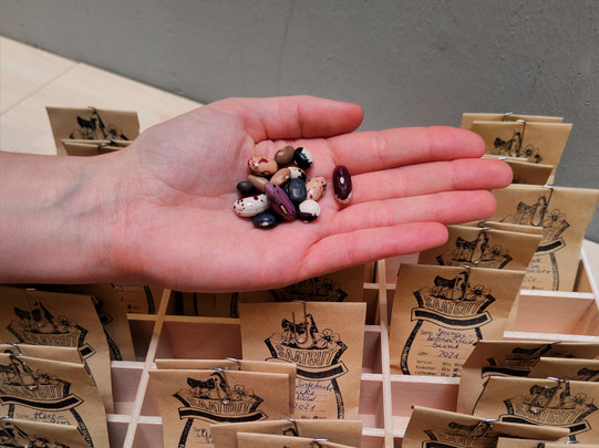 Box with small bags containing seeds. In one hand are colorful seeds.