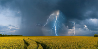 Auf dem Foto sieht man ein Kornfeld und dunkle Gewitterwolken. In der Mitte schlägt ein Blitz ein.