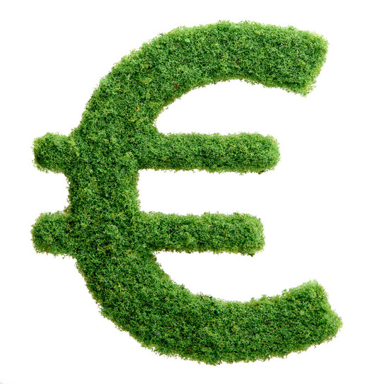 Euro-Zeichen Ein grünes aus Rasen Euro-Zeichen auf weißem Hintergrund.