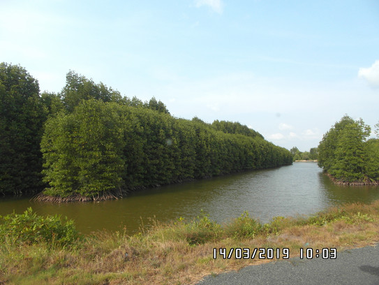 There are trees on the left and a river flowing.