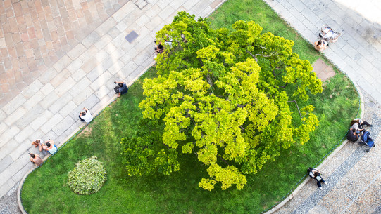 The picture shows an urban green area with a meadow and trees from above, people are sitting around it.