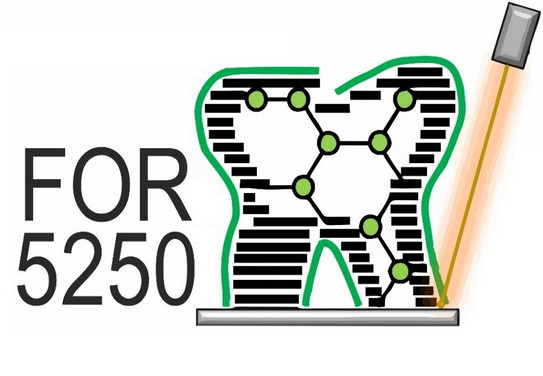 Arbeitsgruppe FOR5250 Das Bild zeigt ein Logo mit einem angedeuteten gezeichneten Zahn und schwarzem Schriftzug