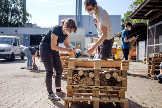A woman and a man build an insect hotel.