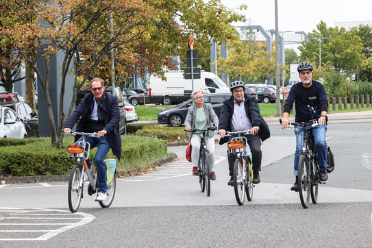 Vier Personen fahren mit Fahrrädern auf einer Straße. 