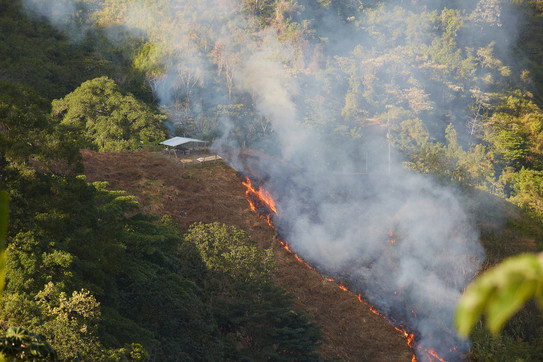 Brandrodung im brasilianischen Regenwald