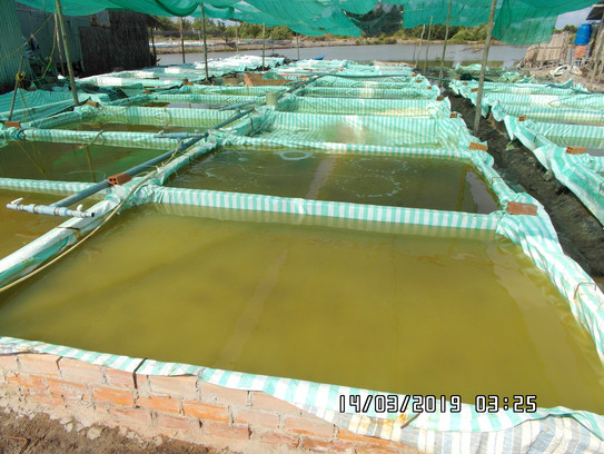 Aquaculture tanks can be seen. 