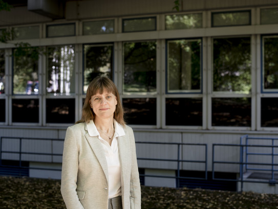 Foto von Prof. Katja Ickstadt