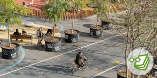 A person rides a bicycle across a road. There are flower pots to the right and left.