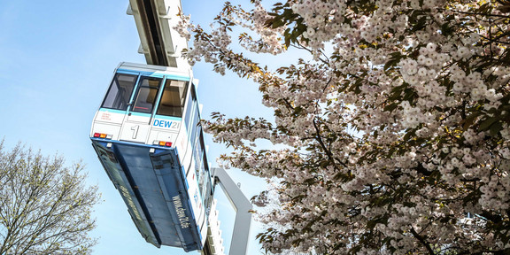 Die H-Bahn fährt an blühenden Bäumen entlang und der Himmel ist blau.
