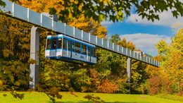 The H-Bahn is running and is surrounded by trees in autumnal colors.