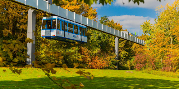 H-Bahn_05 Die H-Bahn fährt und Bäume in herbstlichen Farben sind rechts und links zu sehen.