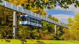 Die H-Bahn fährt und Bäume in herbstlichen Farben sind rechts und links zu sehen.