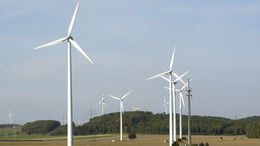 Windräder auf einem Feld