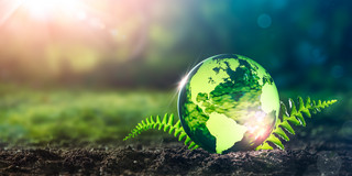 Eine gläserne Weltkugel liegt auf grünem Waldboden und die Sonne scheint
