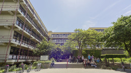 The chemistry building with green trees in front of it