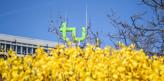 Das TU-Logo umgeben mit gelben Blüten von Blumen.
