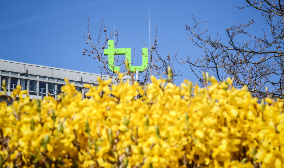 Das TU-Logo umgeben mit gelben Blüten von Blumen.