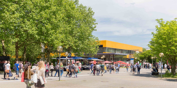TU Dortmund im Sommer_03 Mehrere Studierende stehen vor dem Mensagebäude und rechts sind grüne Bäume im Sommer.