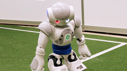 Ein Roboter steht mit einem roten Ball auf einem grünen Fußballfeld.